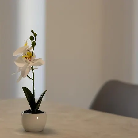 شقة Gardenia Residenza 13 فاستو